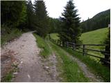 Pod Peco / Koprein-Petzen - Petzen (Kordeschkopf) (Peca (Kordeževa glava))